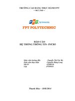 BÁO cáo hệ THỐNG THÔNG TIN  INF203