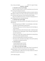 Thực tập tốt nghiệp sản xuất sạch hơn cho nhà máy gỗ satimex