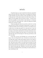 Tiểu luận: Quy trình xử lý nước thải ở nhà máy giấy