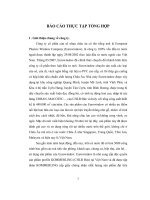 Thực tập tổng hợp tại công ty cổ phần cửa sổ nhựa châu âu