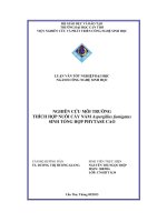 Nghiên cứu môi trường thích hợp nuôi cấy nấm aspergillus fumigatus sinh tổng hợp phytase cao