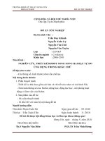 Nghiên cứu thiết kế rô bốt song song hai bậc tự do ứng dụng trong khắc chữ