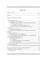 PHÂN LẬP VI SINH VẬT SỬ DỤNG CHROME, ỨNG DỤNG XỬ LÝ NƯỚC THẢI THUỘC DA