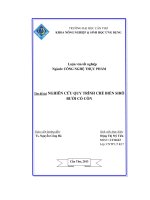 Nghiên cứu quy trình chế biến sirô bưởi có cồn