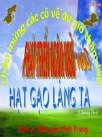 Giáo án dự giờ: phát triển ngôn ngữ-Hạt gạo làng ta