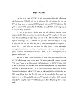 sàng lọc ung thư cổ tử cung bằng phương pháp quan sát cổ tử cung với acid acetic, kết hợp điều trị các tổn thương cổ tử cung cho phụ nữ từ 21 đến 65 tuổi tại 24 xã vùng nông thôn tỉnh thái bình