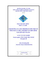 Ảnh hưởng của gốc phosphate đến một số tính chất lý hóa tinh bột sắn biến hình tạo liên kết ngang