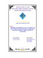 Tìm hiểu qui trình sản xuất và khảo sát mức tiêu hao nguyên liệu sản phẩm cá tra fillet đông lạnh tại công ty caseamex