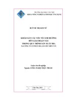 Khảo sát các yếu tố ảnh hưởng đến giai đoạn nấu trong quy trình sản xuất bia tại công ty cổ phần bia sài gòn miền tây