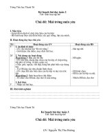 Giáo án môn Sinh hoạt tập thể  lớp 2 - hk I