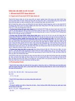 Kiến thức cần thiết cho kế  toán thuế