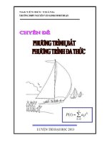 Chuyên đề Phương trình và bất phương trình đa thức luyện thi đại học cập nhật bản 2013 Nguyễn Đức Thắng