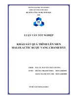 khảo sát quá trình lên men malolactic rượu vang chanh dây