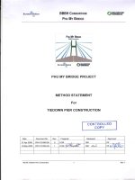 Phú Mỹ Bridge, MS 06 tiedown pier construction rev 1