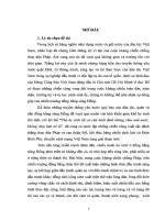 Chiến tranh du kích ở vùng đồng bằng sông Hồng từ 1945 đến 1954 (Khóa luận tốt nghiệp lịch sử)