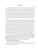 Kế toán vốn bằng tiền tại Công ty Cổ phần Phát triển và Đầu tư xây dựng Việt Nam thuộc Công ty Cổ phần AVINAA