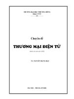 chuyên đề thương mại điện tử