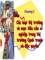 Bài giảng Các loại thị trường và mục tiêu của xí nghiệp trong thị trường Cạnh tranh và độc quyền