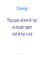 Tổng quan về kinh tế học và chuyên ngành kinh tế học vi mô