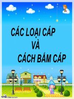 silde bài giảng các loại cáp và cách bấm cáp