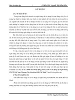 Phân tích hoạt động quản lý rủi ro tín dụng tại Ngân hàng TMCP Việt Nam Thương Tín chi nhánh Hồ Chí Minh