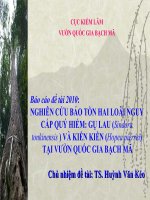 NGHIÊN CỨU BẢO TỒN HAI LOÀI NGUY CẤP QUÝ HIẾM: GỤ LAU (Sindora tonkinensis ) VÀ KIỀN KIỀN