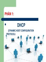 silde bài giảng dịch vụ dhcp và dns