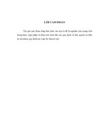 luận văn thạc sĩ phát triển hoạt động kinh doanh thẻ tại ngân hàng tmcp ngoại thương việt nam- vietcombank