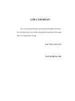 luận văn thạc sĩ một số giải pháp phát triển thị trường trái phiếu ở việt nam