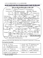 sơ đồ phản ứng hữu cơ 12