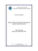 Khảo sát khả năng kháng nấm men của dịch ép trích trái nhàu