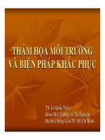Thảm họa môi trường và biện pháp khắc phục
