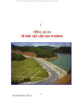 Đập vật liệu địa phương