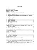 Hoàn thiện tổ chức kế toán tại công ty cổ phần bất động sản green oasis