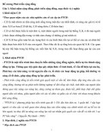 in  đề cương phát triển CD