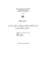 Làm việc nhóm như thế nào cho hiệu quả