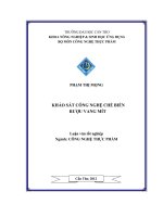 Khảo sát công nghệ chế biến rượu vang mít