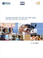 Báo cáo nghiên cứu Doanh nghiệp xã hội tại Việt Nam