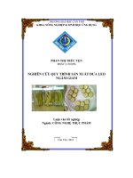 Nghiên cứu qui trình sản xuất dưa leo ngâm giấm