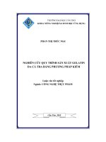 Nghiên cứu quy trình sản xuất gelatin da cá tra bằng phương pháp kiềm