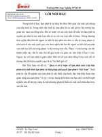 Qua cơ sở lý luận về lạm phát anh (chị) hãy phân tích tình hình lạm phát và biện pháp giải quyết lạm phát ở việt nam