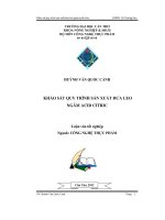 Khảo sát qui trình sản xuất dưa leo ngâm acid citric