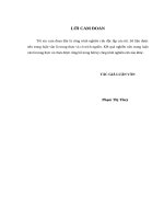 nâng cao chất lượng cho vay tại ngân hàng tmcp công thương việt nam - chi nhánh hải dương