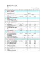 Phân tích các chỉ số CAMELS của Ngân hàng Phương Nam (kèm file excel, đầy đủ nhất)