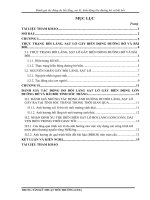 Chuyên đề đánh giá tác động bồi lắng, sạt lở