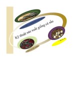 Đề tài kỹ thuật sản xuất giống cá sấu