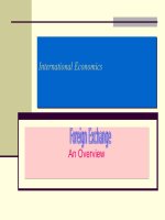 foreign exchange markets