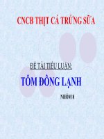 báo cáo tiểu luận tôm đông lạnh
