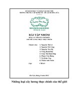 Bài tập nhóm lý thuyết chế biến