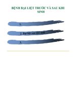 Bệnh bại liệt trước và sau khi sinh ở gia súc sinh sản